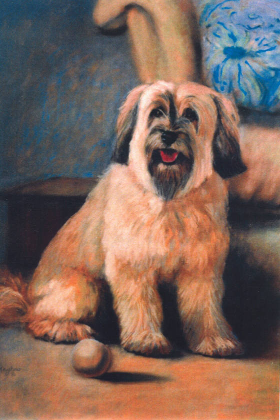 Rottweiller.jpg